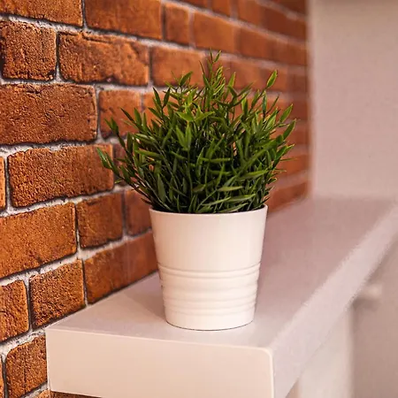 Dream Aparts - Tuwima 75 לודז'