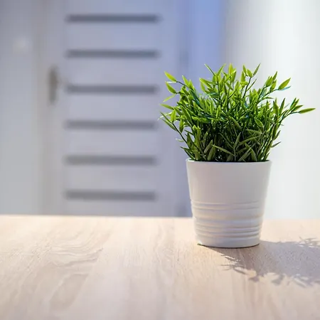 Dream Aparts - Tuwima 75 *