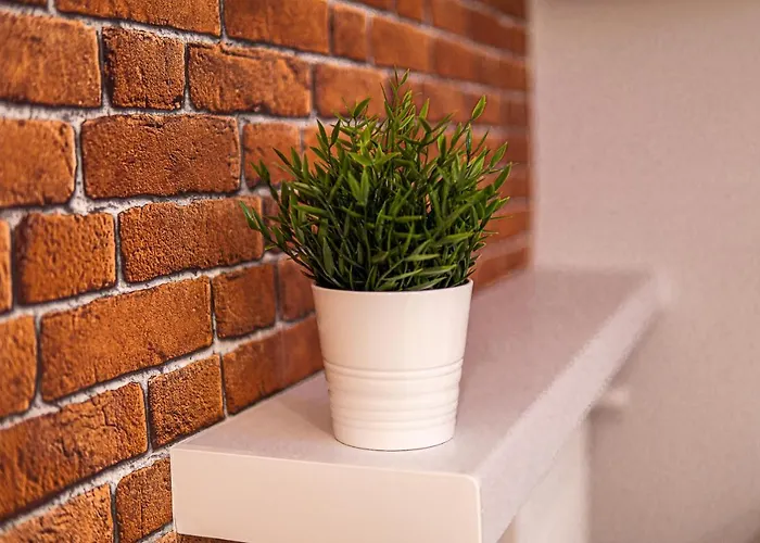 Dream Aparts - Tuwima 75 Łódź