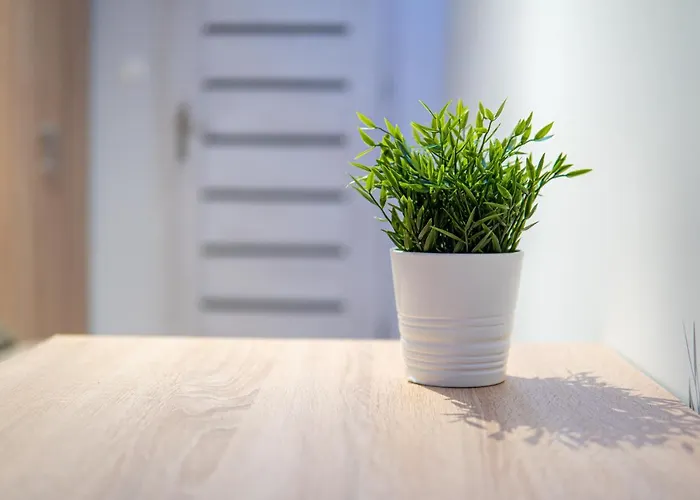 Dream Aparts - Tuwima 75 *